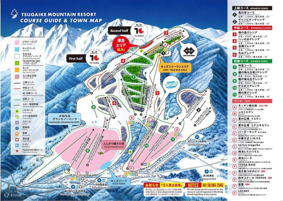栂池高原スキー場　早割リフト券×2 2019-2020栂池高原スキー場早割リフト券